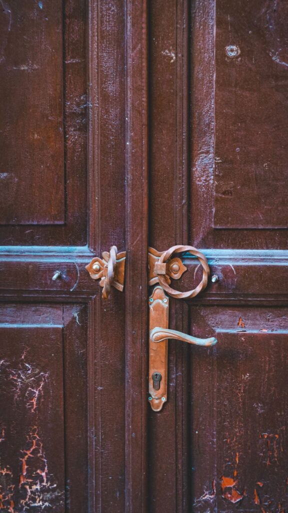 Porte pleine en bois