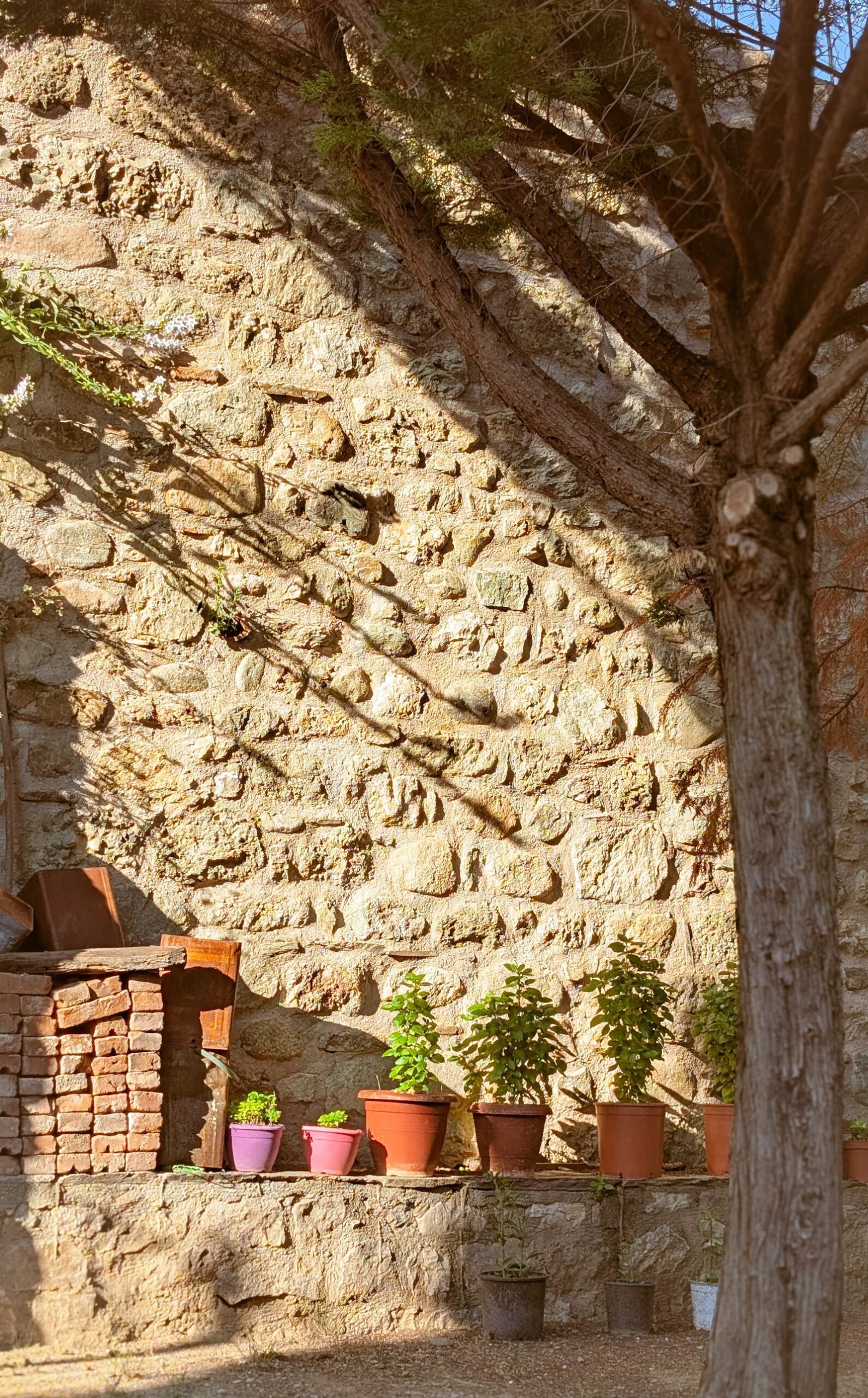 aménagement extérieur de jardin, exemple de dalle sur plots en Seine-et-Marne