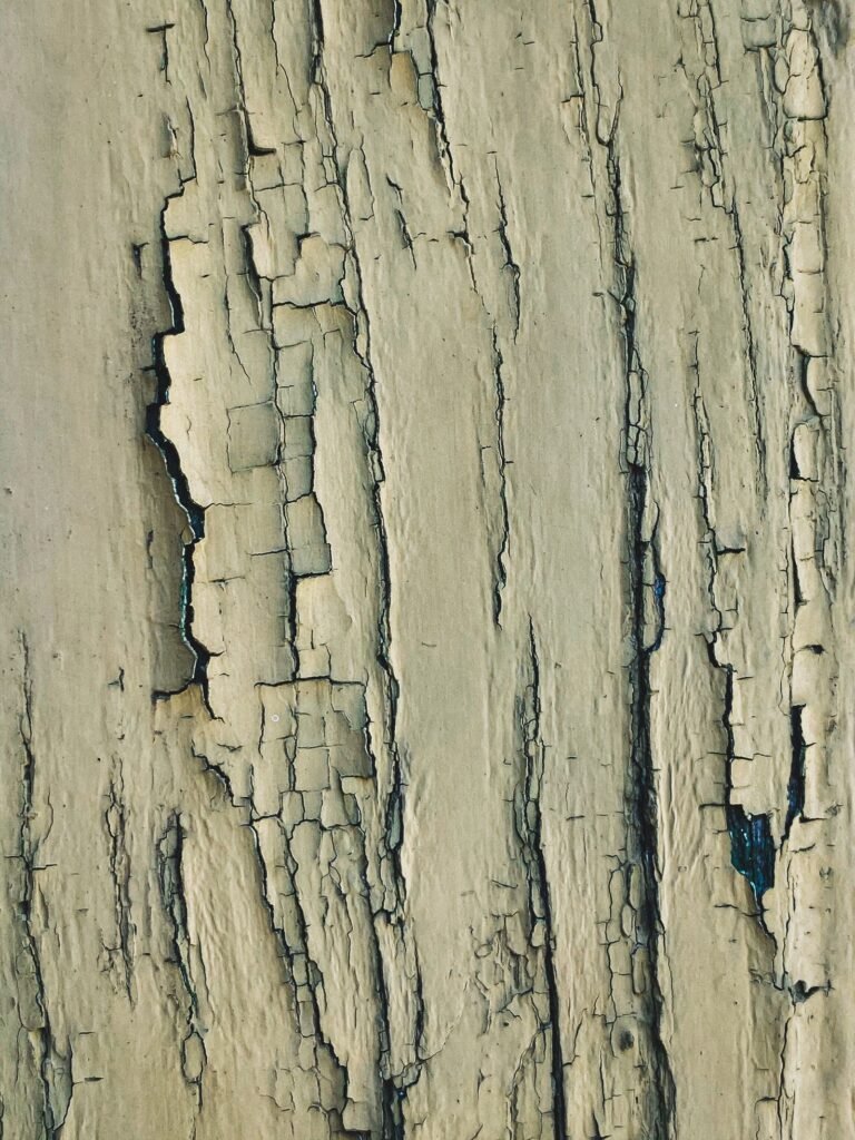 Gros plan sur une fissure dans un mur